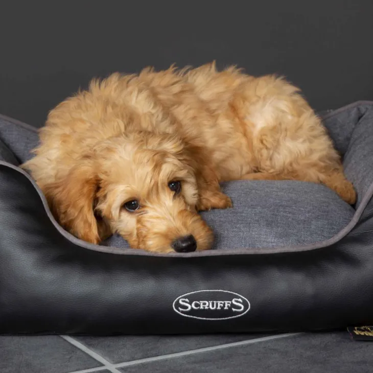 Corbeille à mémoire de forme pour chien gris Hilton Scruffs – Taille S