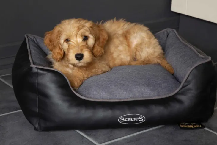 Corbeille à mémoire de forme pour chien gris Hilton Scruffs – Taille S