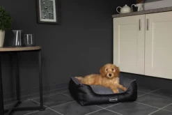 Corbeille à mémoire de forme pour chien gris Hilton Scruffs – Taille S