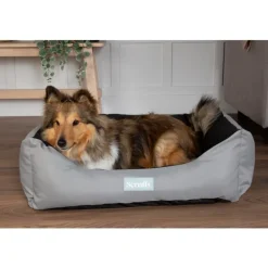 Corbeille imperméable pour chien coloris rose Scruffs Expédition – Taille XL