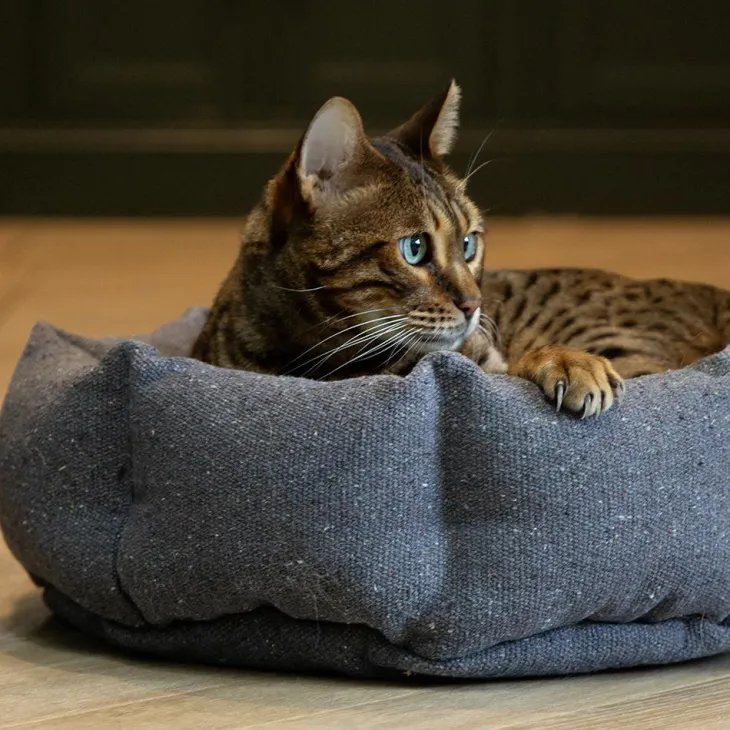 Corbeille pour chat en tissu gris anthracite Scruffs Eco Eden - 45 cm