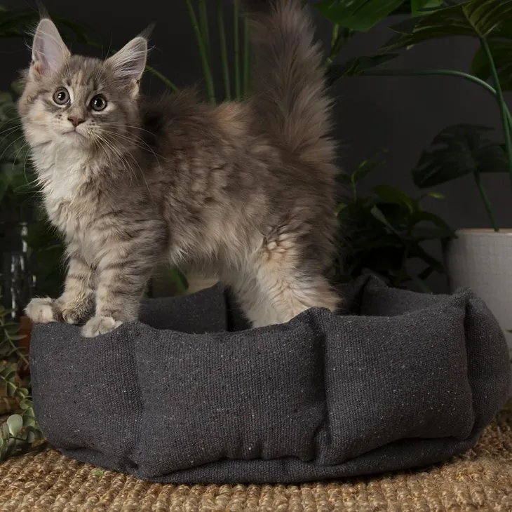 Corbeille pour chat en tissu gris anthracite Scruffs Eco Eden - 45 cm