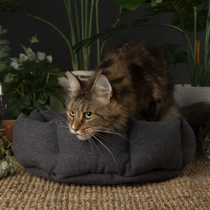 Corbeille pour chat en tissu gris anthracite Scruffs Eco Eden - 45 cm