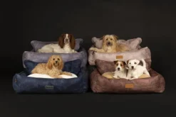 Corbeille pour chien bleu Kensington Scruffs – Taille XL