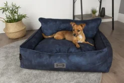 Corbeille pour chien bleu Kensington Scruffs – Taille XL