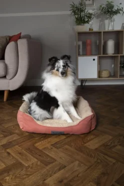 Corbeille pour chien coloris terracotta Scruffs Cosy – Taille XL