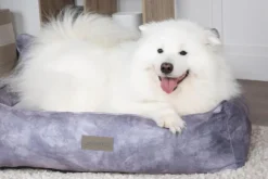 Corbeille pour chien gris Kensington Scruffs – Taille M