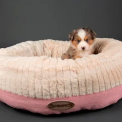 Corbeille pour chien rose Ellen Scruffs - Taille XL