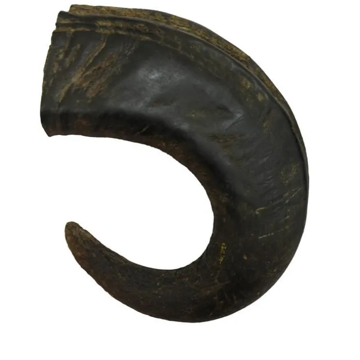 Corne de buffle pour chien – Taille L