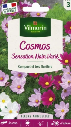 Cosmos Sensation Nain Varié Vilmorin - graines à semer