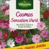 Cosmos Sensation variée Grand jardin Format maxi Vilmorin - graines à semer