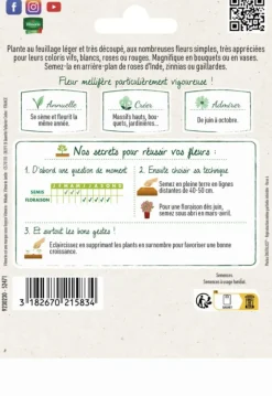 Cosmos Sensation variée Grand jardin Format maxi Vilmorin - graines à semer