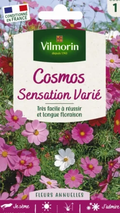 Cosmos Sensatoin Varié Vilmorin - graines à semer