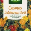 Cosmos Sulphureus Varié Vilmorin - graines à semer