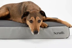 Couchage orthopédique pour chien coloris gris Scruffs ArmourDillo Orthopaedic - Taille XL 116 x 75 x 15 cm