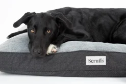 Couchage orthopédique pour chien coloris gris Scruffs Harvard - Taille XXL 140 x 100 x 20 cm