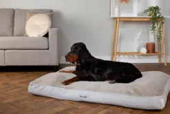 Couchage orthopédique pour chien coloris marron Scruffs Harvard - Taille XL 120 x 75 x 16 cm