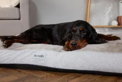 Couchage orthopédique pour chien coloris marron Scruffs Harvard - Taille XL 120 x 75 x 16 cm