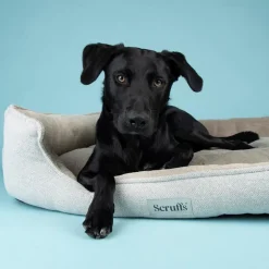 Couchage orthopédique pour chien coloris marron Scruffs Harvard - Taille XL 90 x 70 x 20 cm