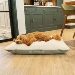 Couchage pour chien coloris vert coussin Scruffs Eco Eden - Taille M 80 x 60 cm