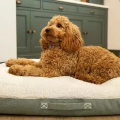 Couchage pour chien coloris vert coussin Scruffs Eco Eden - Taille M 80 x 60 cm