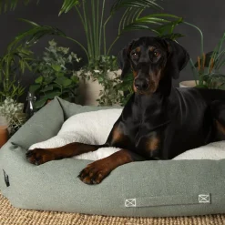 Couchage pour chien coloris vert corbeille Scruffs Eco Eden - Taille XL 90 x 70 cm