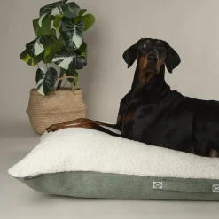 Couchage pour chien coloris vert coussin Scruffs Eco Eden - Taille L 100 x 70 cm