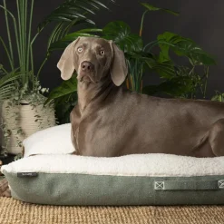 Couchage pour chien coloris vert coussin Scruffs Eco Eden - Taille XL 120 x 75 cm