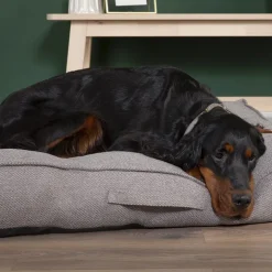 Couchage pour chien coloris gris coussin Scruffs Seattle - Taille M 80 x 60 x 14 cm