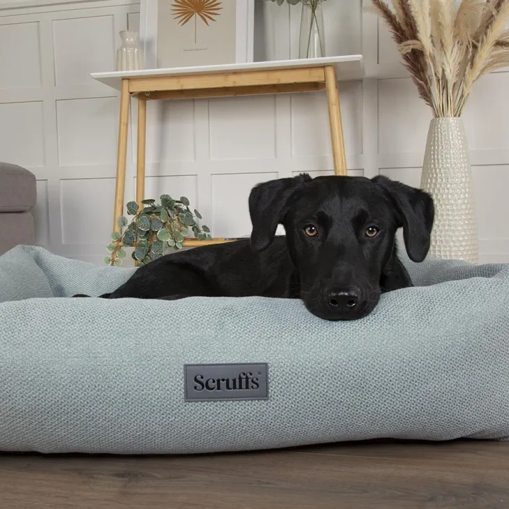 Couchage pour chien coloris vert corbeille Scruffs Ellen - Taille M 60 x 50 x 16 cm