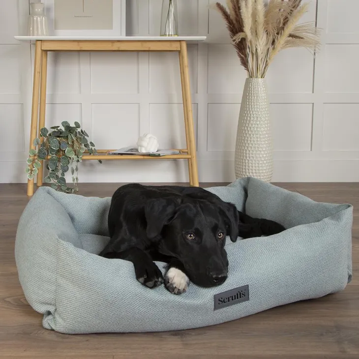 Couchage pour chien coloris vert corbeille Scruffs Ellen - Taille M 60 x 50 x 16 cm