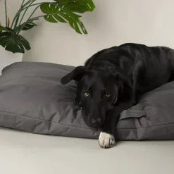 Couchage pour chien coloris gris coussin imperméable Scruffs Expédition - Taille XXL 140 x 100 cm