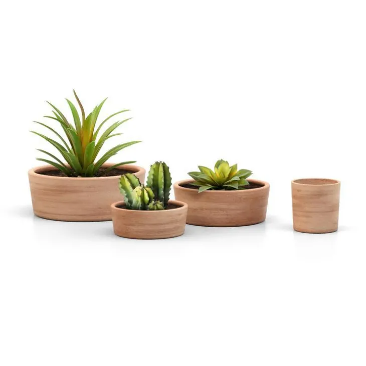 Coupe basse Ø 20 x H 8 cm