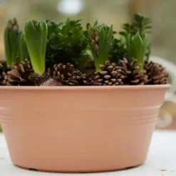 Coupe coloris terre cuite doux Elho Green Basics - Ø 27 cm