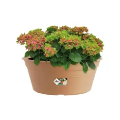 Coupe coloris terre cuite doux Elho Green Basics - Ø 38 cm