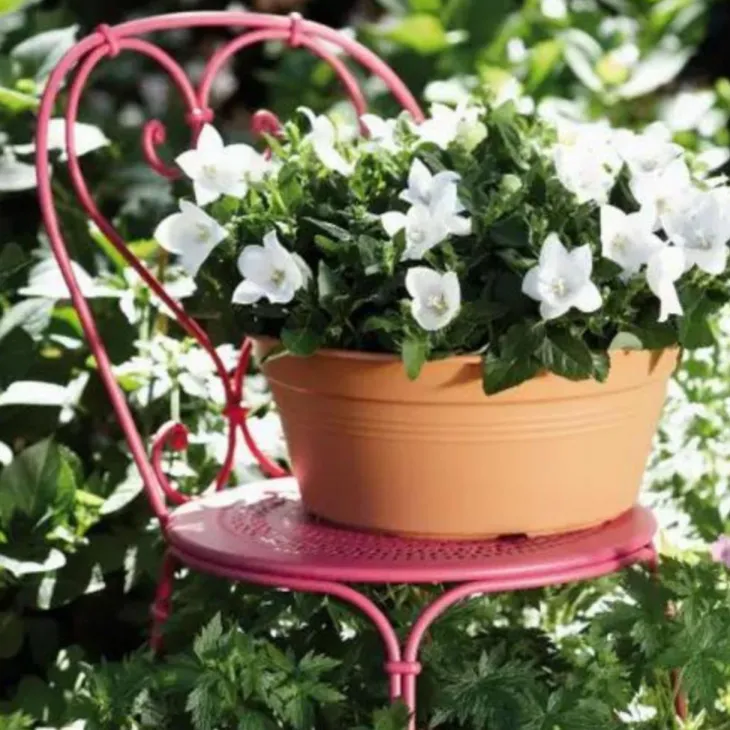 Coupe coloris terre cuite doux Elho Green Basics - Ø 38 cm