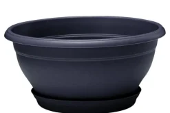 Coupe en polypropylène coloris anthracite Eda Lotus 30 - Ø 30 x H 15 cm