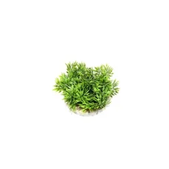 Coupe gazon vert en plastique Ø 9 cm