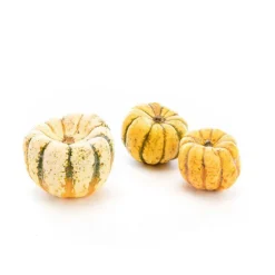 Courge Patidou bio de France - Prix à la pièce