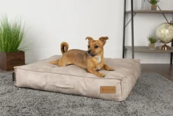 Coussin pour chien beige Kensington – Taille M
