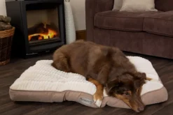 Coussin pour chien beige Ellen Scruffs - Taille M