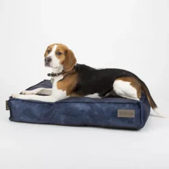 Coussin pour chien bleu Kensington – Taille M