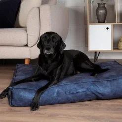 Coussin pour chien bleu Kensington – Taille M