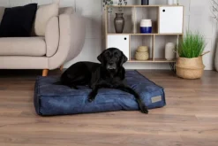 Coussin pour chien bleu Kensington – Taille M