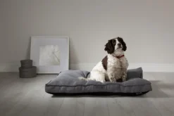 Coussin pour chien gris foncé Manhattan Scruffs – Taille M