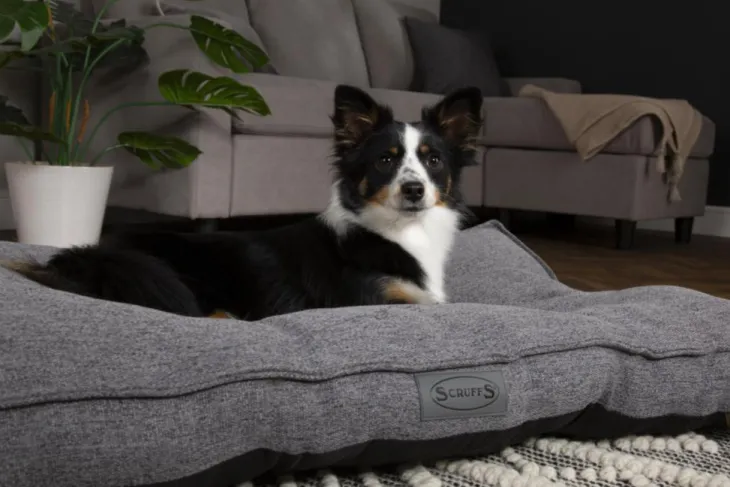 Coussin pour chien gris foncé Manhattan Scruffs – Taille L