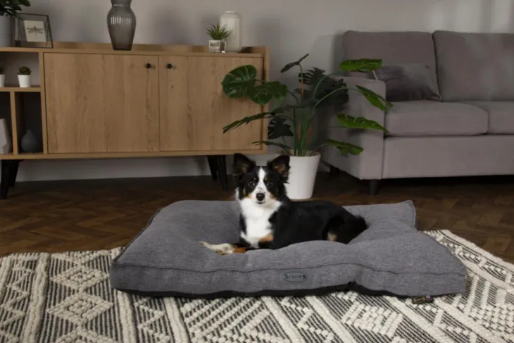 Coussin pour chien gris foncé Manhattan Scruffs – Taille L