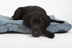 Coussin pour chien Manhattan bleu Scruffs - Taille L