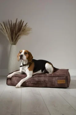 Coussin pour chien marron Kensington – Taille L