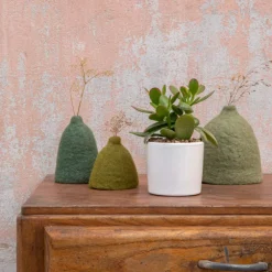 Crassula mix en pot émaillé blanc Ø 10 cm